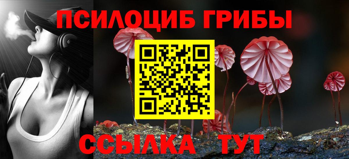 Галлюциногенные грибы MAGIC MUSHROOMS  Вход с VPN  магазин продажи наркотиков  Нефтекумск 