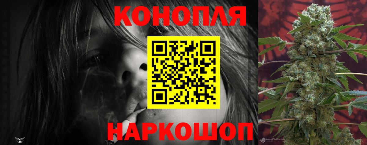 Канабис план Нефтекумск